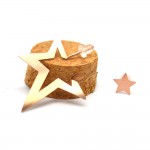 Σκουλαρίκι 3d Star 